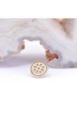 BVLA 6mm Lemonade in 14k Gold 16g Threaded Ends by BVLA!