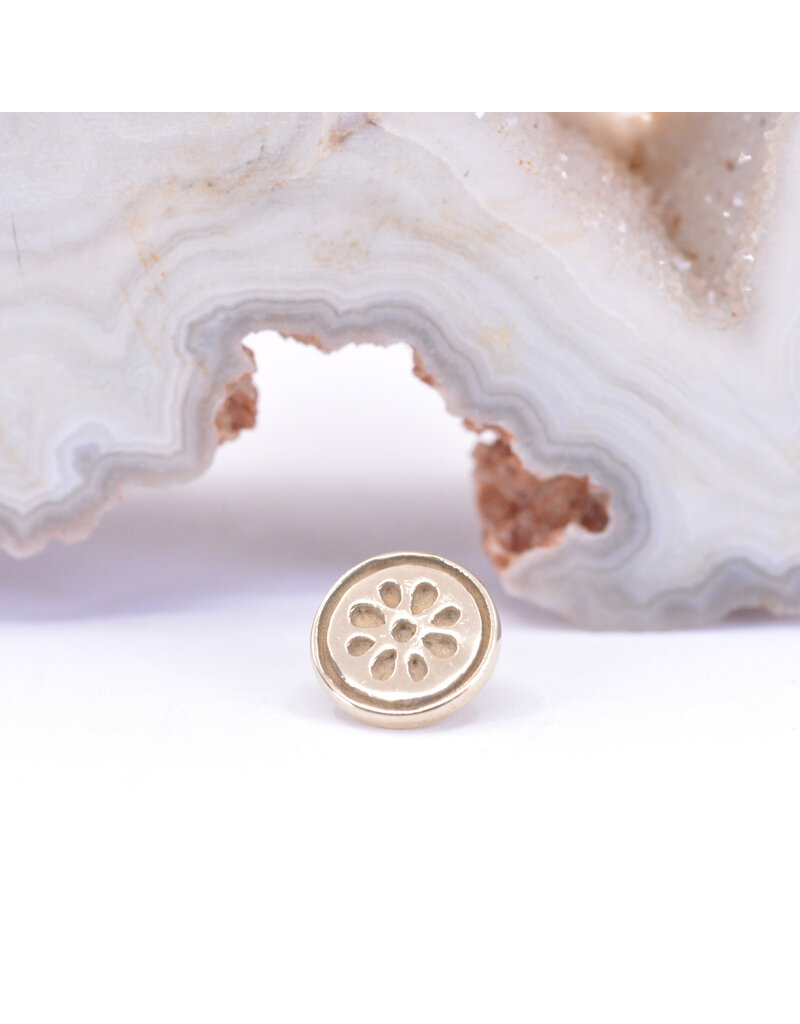 BVLA 6mm Lemonade in 14k Gold 16g Threaded Ends by BVLA!