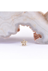 BVLA Tiny Hibiscus Flower in 14k Gold Threadless Ends by BVLA!