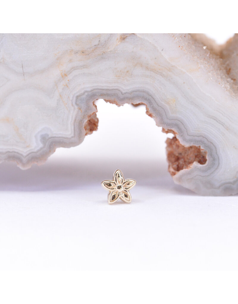 BVLA Tiny Hibiscus Flower in 14k Gold Threadless Ends by BVLA!