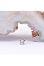BVLA Tiny Hibiscus Flower in 14k Gold Threadless Ends by BVLA!