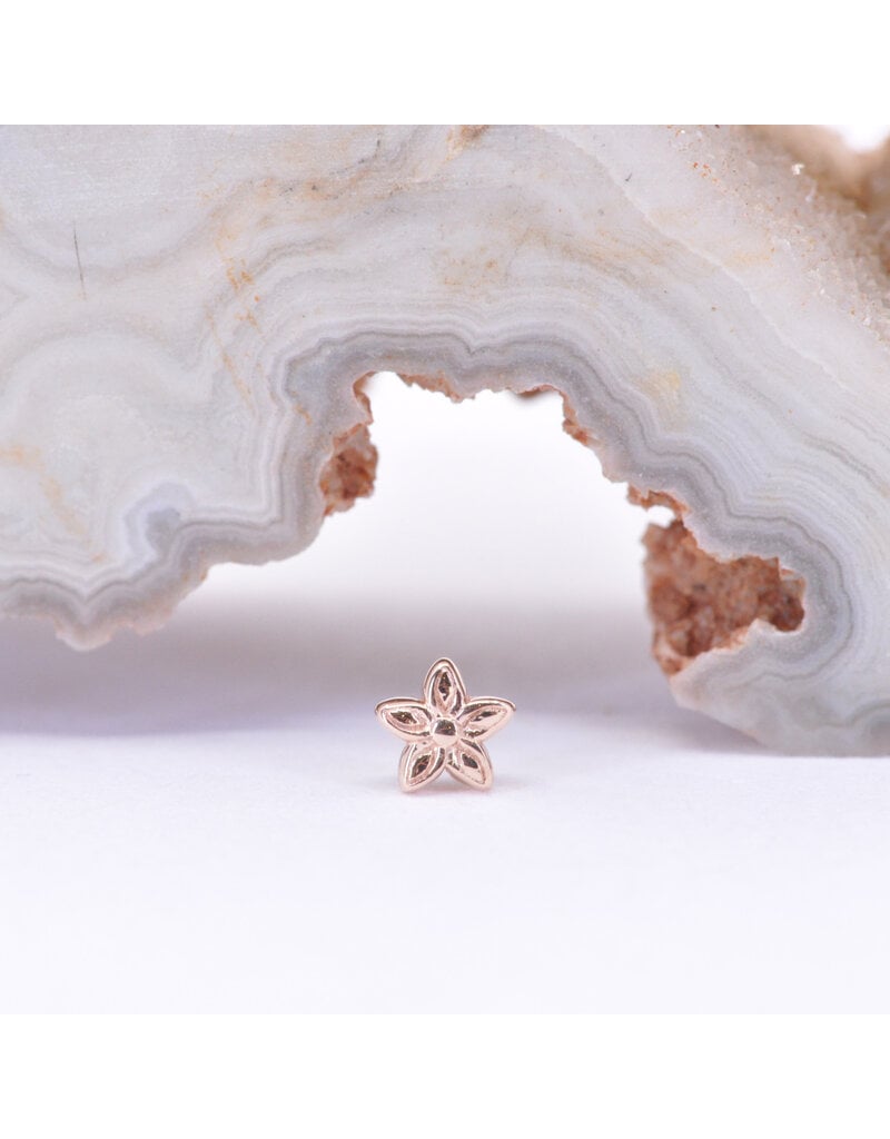 BVLA Tiny Hibiscus Flower in 14k Gold Threadless Ends by BVLA!