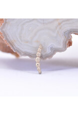 BVLA Sandblasted 7 Bead Arc in 14k Gold 16g Threaded Ends by BVLA!
