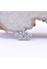 BVLA Half Mini Nova with CZ in 14k Gold 16g Threaded Ends by BVLA!