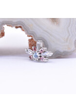 BVLA Half Mini Nova with CZ, Padparadscha Sapphire and Rainbow Moonstone in 14k White Gold 16g Threaded End by BVLA!