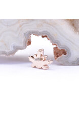 BVLA Half Mini Nova with CZ in 14k Gold 16g Threaded Ends by BVLA!