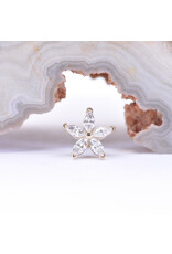 BVLA Starflower with CZ in 14k Gold Threadless Ends by BVLA!