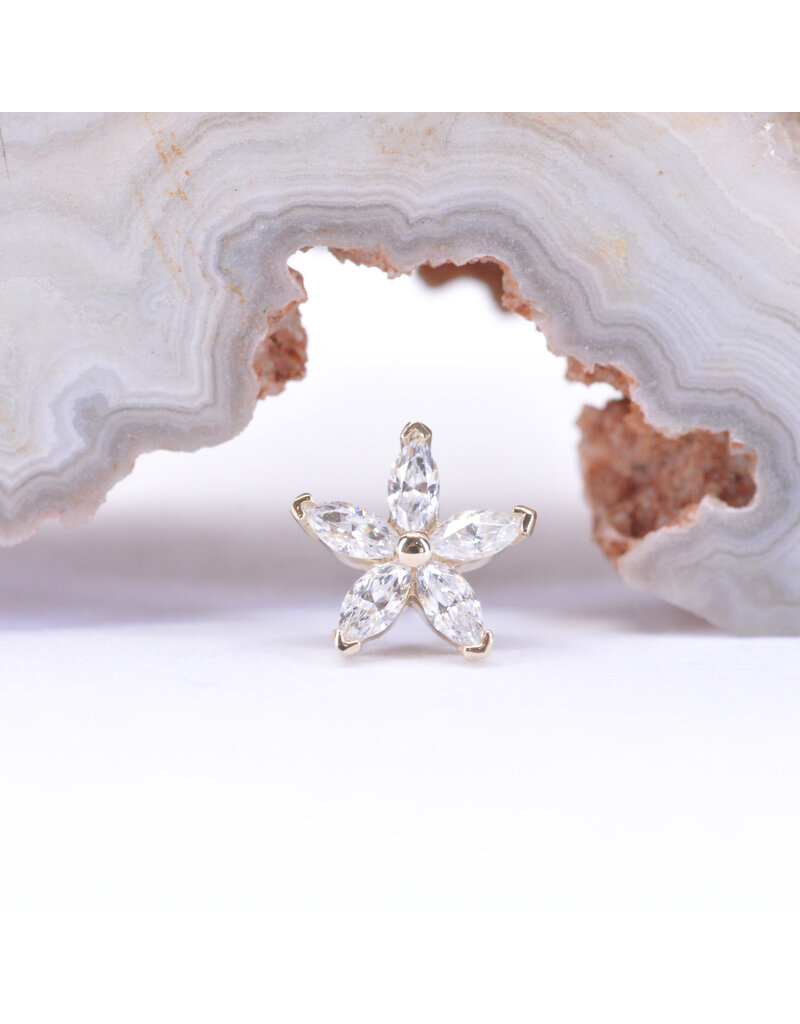 BVLA Starflower with CZ in 14k Gold Threadless Ends by BVLA!