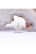 BVLA Starflower with CZ in 14k Gold Threadless Ends by BVLA!