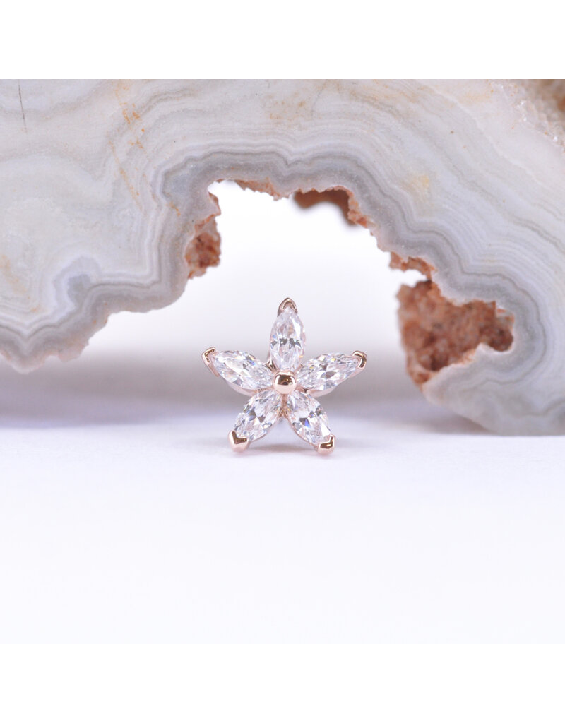 BVLA Starflower with CZ in 14k Gold Threadless Ends by BVLA!