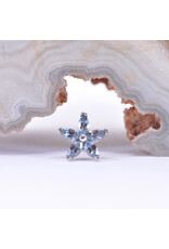 BVLA Starflower with Alexandrite in 14k White Gold Threadless End by BVLA!