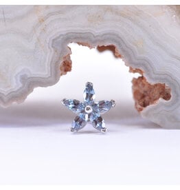 BVLA Starflower Alexandrite White Gold Threadless End