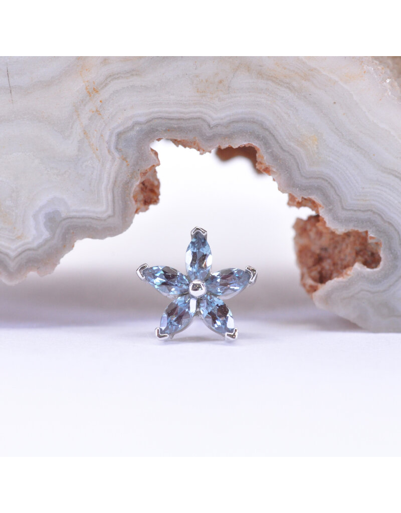 BVLA Starflower with Alexandrite in 14k White Gold Threadless End by BVLA!