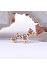BVLA Left Facing Ripple with Champagne CZ, Amber CZ and CZ in 14k Rose Gold 16g Threaded End by BVLA!