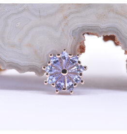 BVLA Pablito Tanzanite Rose Gold 16g Threaded End