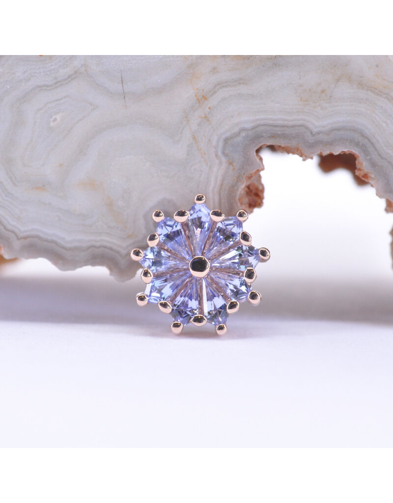 BVLA Pablito with Genuine Tanzanite in 14k Rose Gold 16g Threaded End by BVLA!
