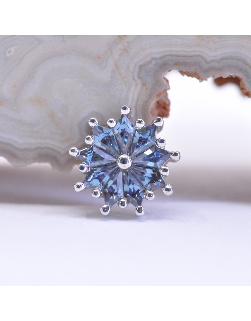 BVLA Pablito with Alexandrite in 14k White Gold 16g Threaded End by BVLA!