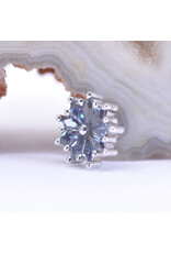 BVLA Pablito with Alexandrite in 14k White Gold 16g Threaded End by BVLA!