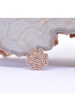 BVLA Casini in 14k Gold 14g Threaded Ends by BVLA!
