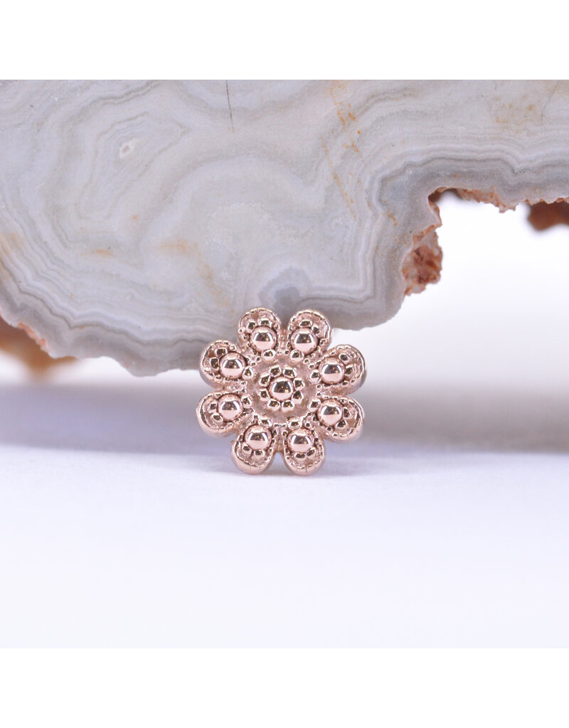 BVLA Casini in 14k Gold 14g Threaded Ends by BVLA!