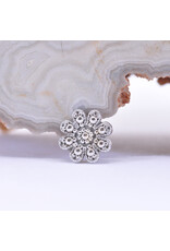 BVLA Casini in 14k Gold 14g Threaded Ends by BVLA!