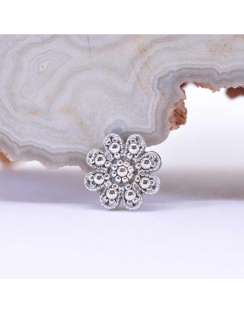 BVLA Casini in 14k Gold 14g Threaded Ends by BVLA!