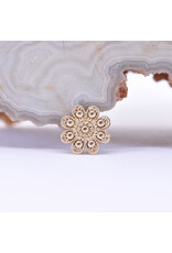 BVLA Casini in 14k Gold 14g Threaded Ends by BVLA!