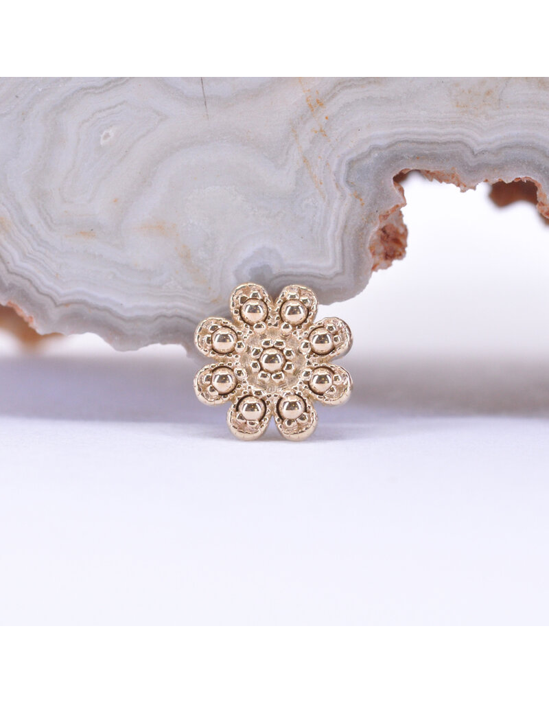 BVLA Casini in 14k Gold 14g Threaded Ends by BVLA!