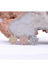 BVLA Casini in 14k Gold 14g Threaded Ends by BVLA!