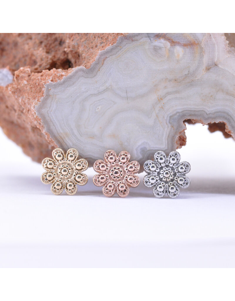 BVLA Casini in 14k Gold 14g Threaded Ends by BVLA!