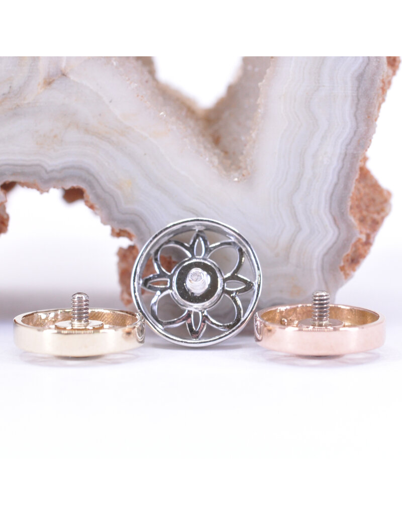 BVLA 8mm Paloma Flower with CZ in 14k Gold 14g Threaded Ends by BVLA!