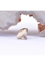 BVLA 6mm Saucer with CZ in 14k Yellow Gold 14g Threaded End by BVLA!