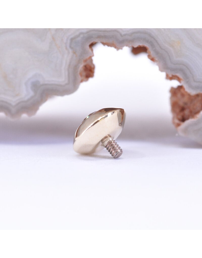 BVLA 6mm Saucer with CZ in 14k Yellow Gold 14g Threaded End by BVLA!