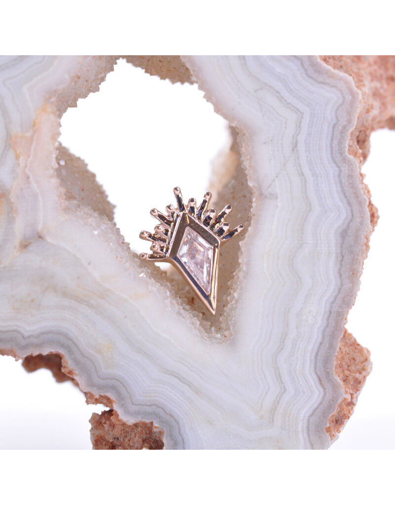 BVLA Kite Borderline with CZ in 14k Gold 16g Threaded Ends by BVLA!
