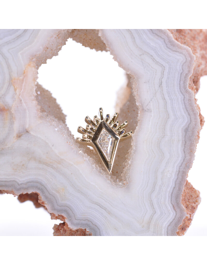 BVLA Kite Borderline with CZ in 14k Gold 16g Threaded Ends by BVLA!