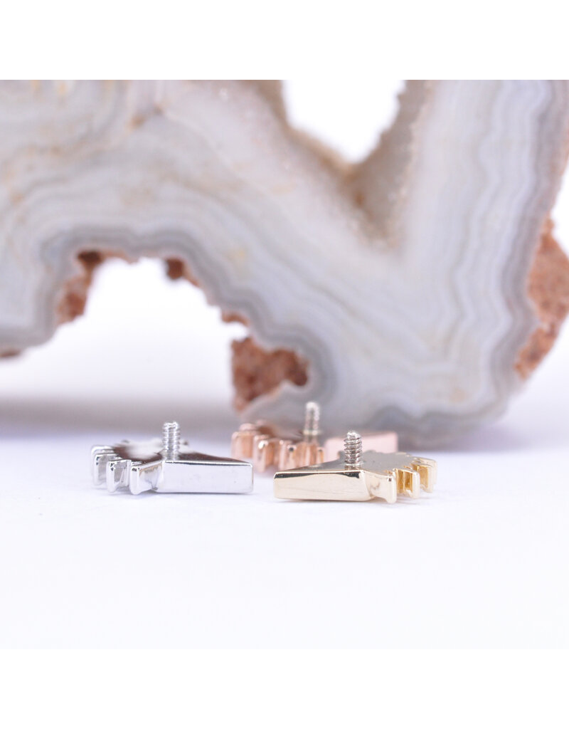 BVLA Kite Borderline with CZ in 14k Gold 16g Threaded Ends by BVLA!