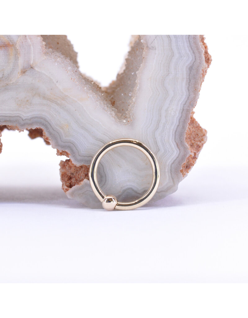 BVLA 18g Fixed Bead Rings with 2mm Bead in 14k Gold by BVLA!