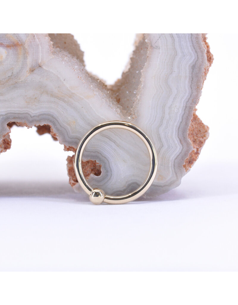 BVLA 18g Fixed Bead Rings with 2mm Bead in 14k Gold by BVLA!