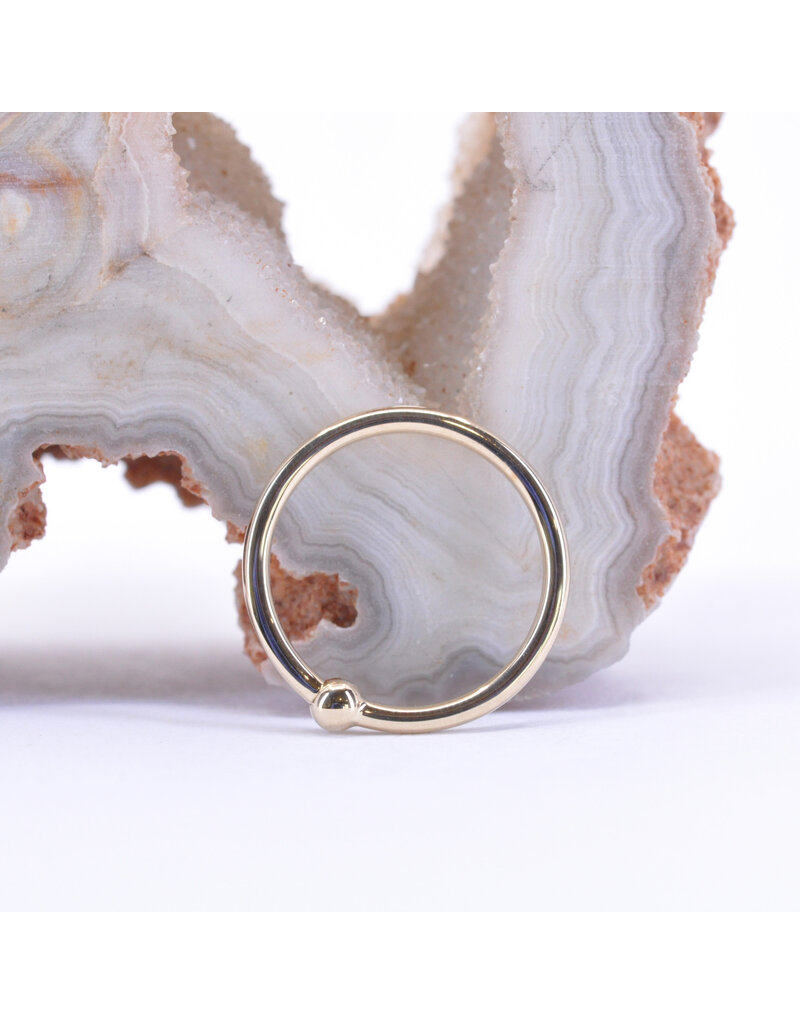 BVLA 18g Fixed Bead Rings with 2mm Bead in 14k Gold by BVLA!