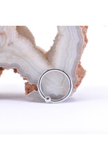 BVLA 18g Fixed Bead Rings with 2mm Bead in 14k Gold by BVLA!