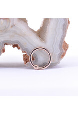 BVLA 18g Fixed Bead Rings with 2mm Bead in 14k Gold by BVLA!