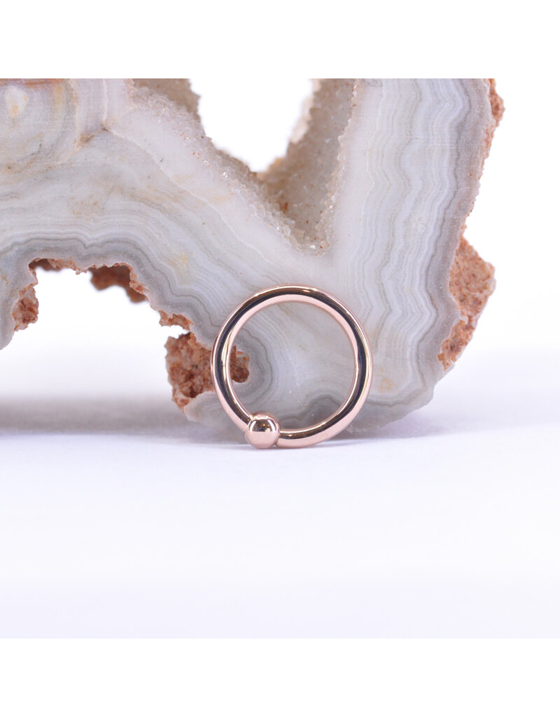 BVLA 18g Fixed Bead Rings with 2mm Bead in 14k Gold by BVLA!