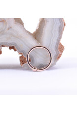 BVLA 18g Fixed Bead Rings with 2mm Bead in 14k Gold by BVLA!