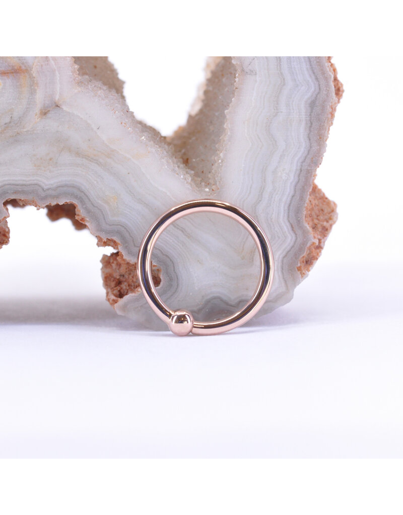 BVLA 18g Fixed Bead Rings with 2mm Bead in 14k Gold by BVLA!