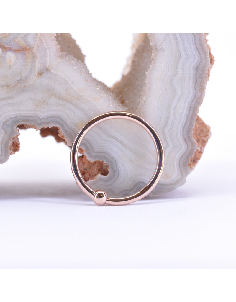 BVLA 18g Fixed Bead Rings with 2mm Bead in 14k Gold by BVLA!