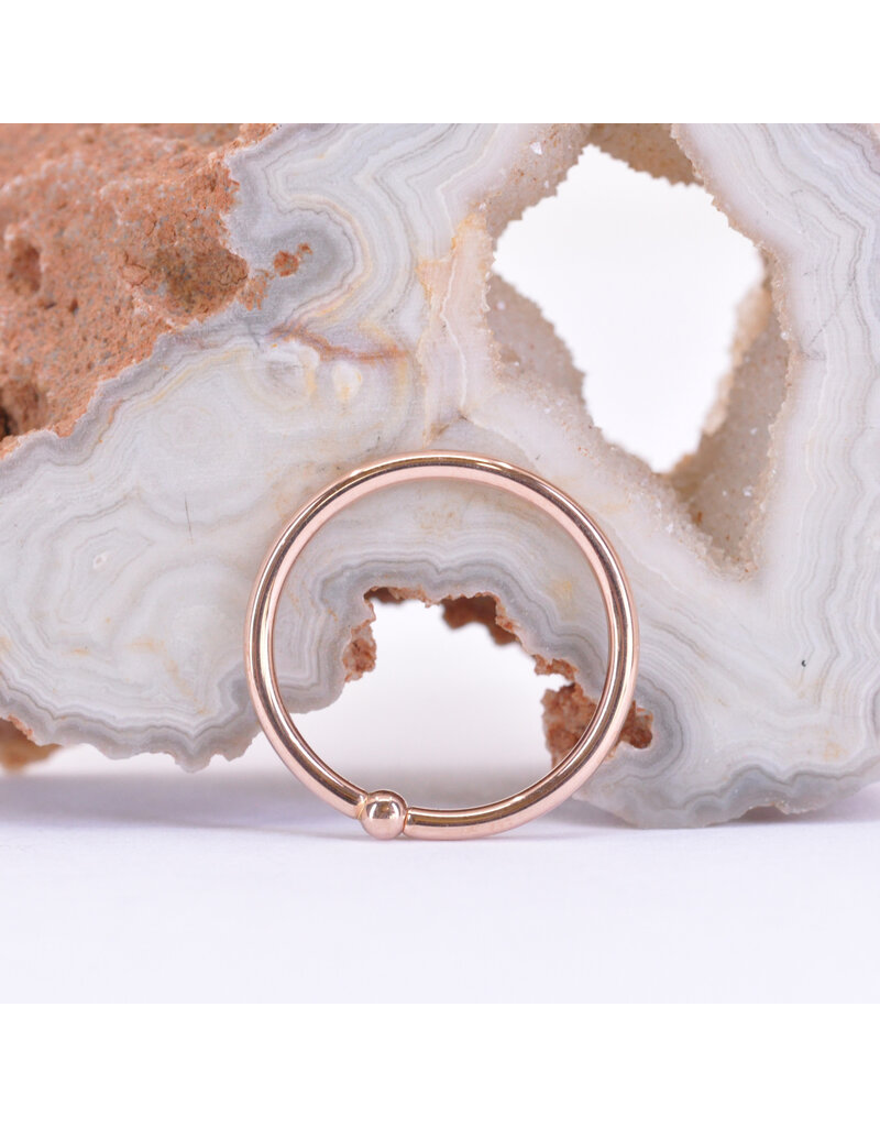 BVLA 16g Fixed Bead Rings with 2mm Bead in 14k Gold by BVLA!