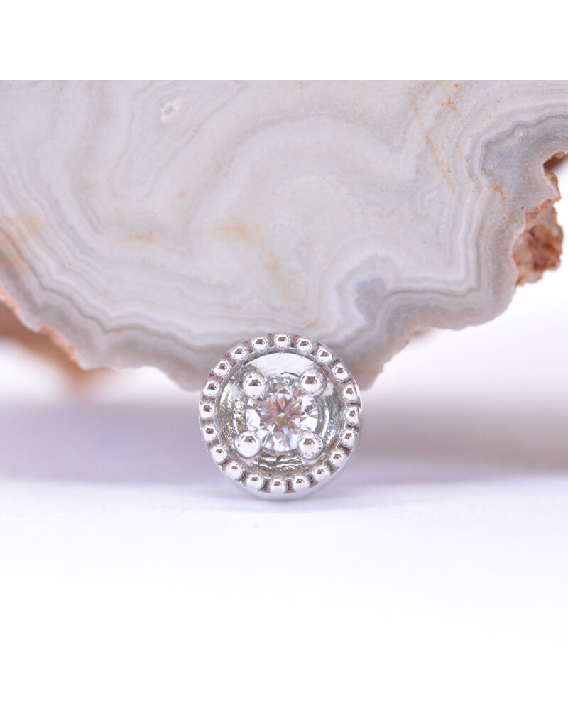 BVLA Round Harlequin with CZ in 14k Gold 16g Threaded Ends by BVLA!