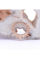 BVLA 16g Ray of Light Clicker Rings in 14k Gold by BVLA!