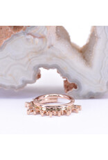 BVLA 16g Ray of Light Clicker Rings in 14k Gold by BVLA!