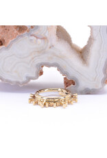 BVLA 16g Ray of Light Clicker Rings in 14k Gold by BVLA!